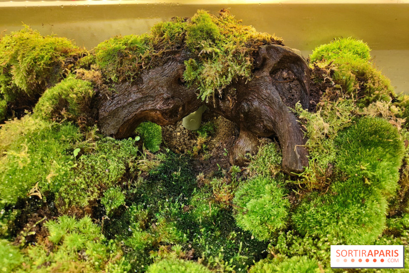Jardiner : une exposition au cœur de la nature à vivre à la Cité des Sciences et de l'Industrie