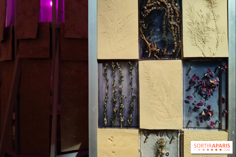 Jardiner : une exposition au cœur de la nature à vivre à la Cité des Sciences et de l'Industrie - fotor 1760436815036