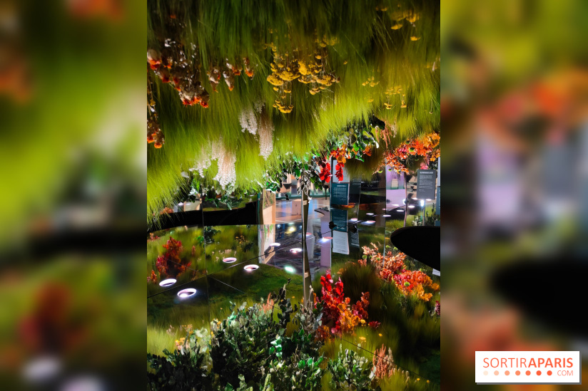 Jardiner : une exposition au cœur de la nature à vivre à la Cité des Sciences et de l'Industrie - fotor 1760432405786