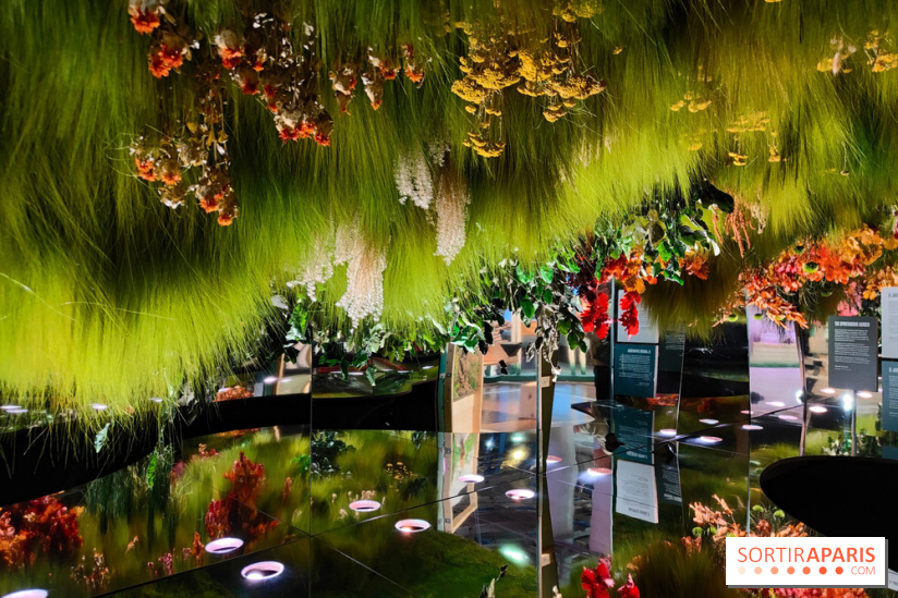 Jardiner : une exposition au cœur de la nature à vivre à la Cité des Sciences et de l'Industrie - fotor 1760436885761