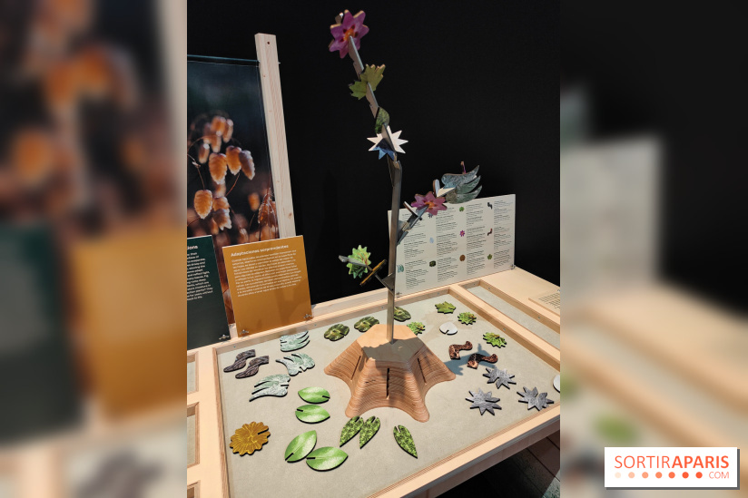 Jardiner : une exposition au cœur de la nature à vivre à la Cité des Sciences et de l'Industrie