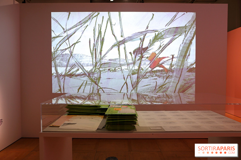 Isao Takahata - Pionnier du dessin animé contemporain, de l’après-guerre au Studio Ghibli, nos photos de l'expo