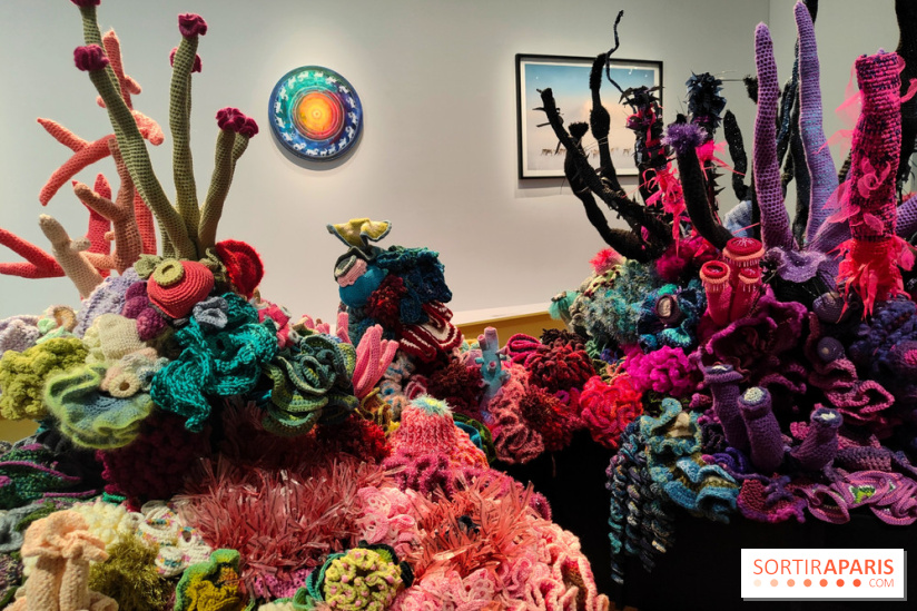 Migrations et climat : une exposition instructive au Palais de la Porte Dorée, nos photos - fotor 1760535400802