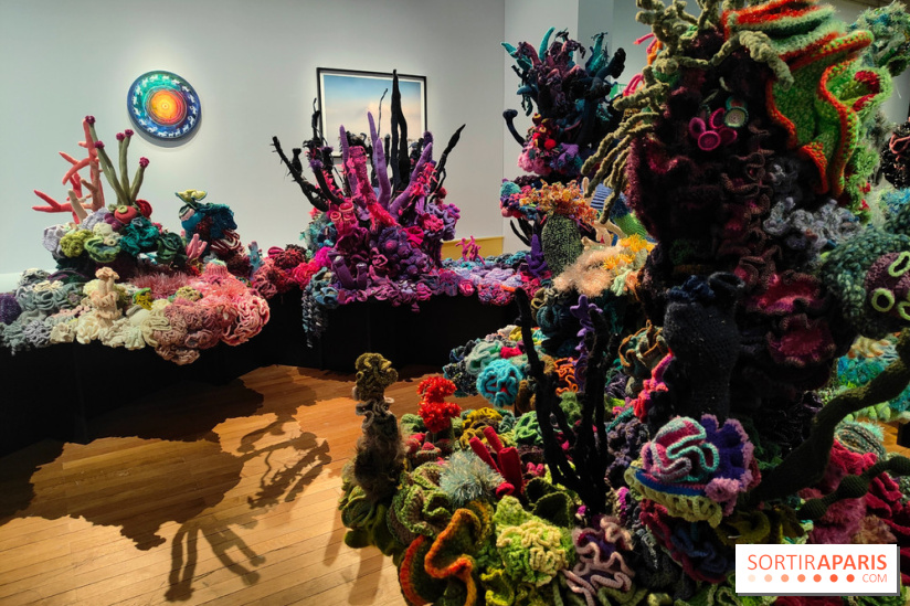 Migrations et climat : une exposition instructive au Palais de la Porte Dorée, nos photos - fotor 1760535417931