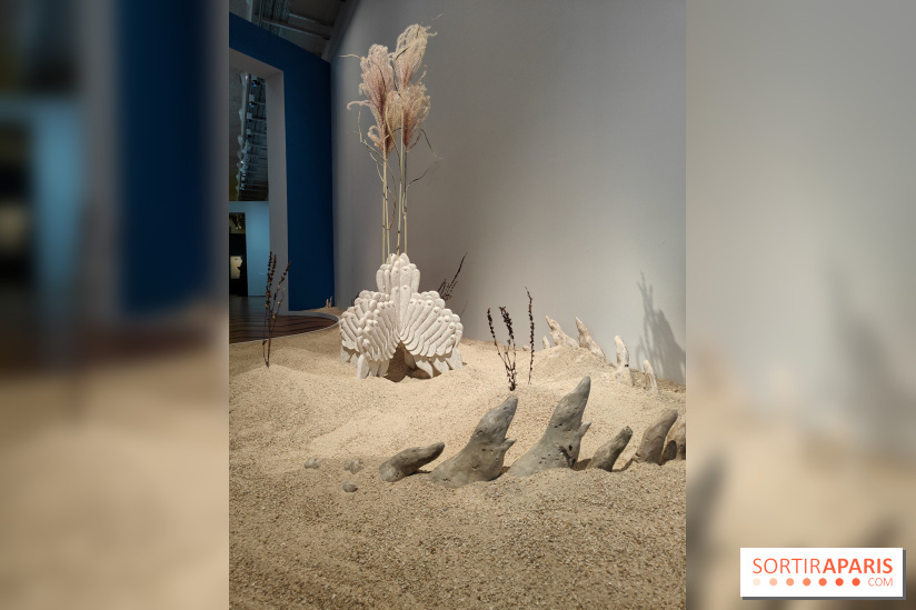 Migrations et climat : une exposition instructive au Palais de la Porte Dorée, nos photos