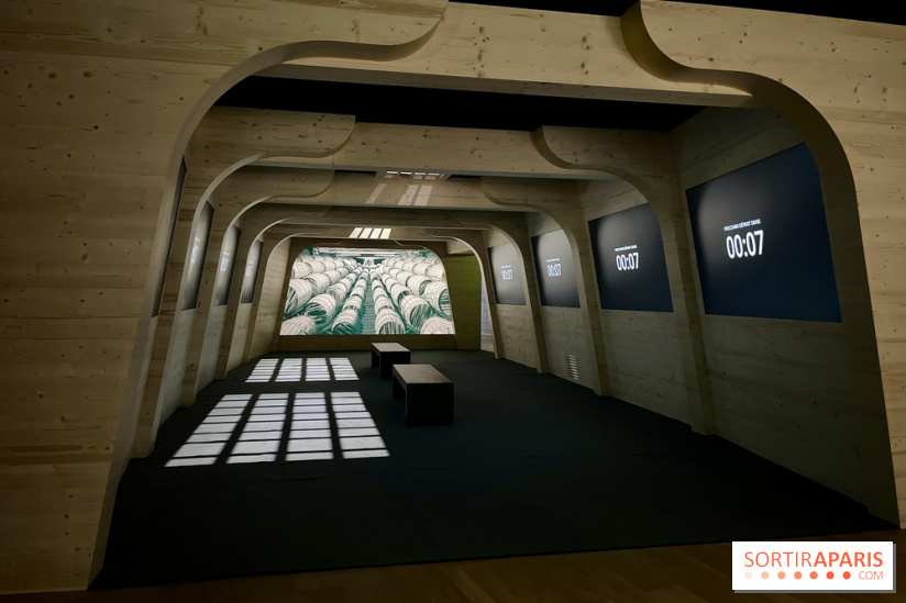 Dans le sillage de Magellan - IMG 6866