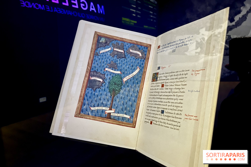 Dans le sillage de Magellan - IMG 6904