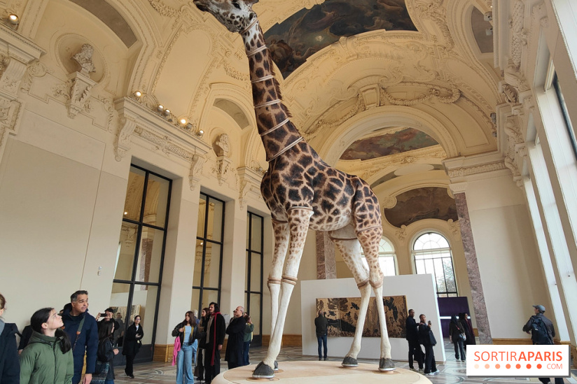 Art Basel 2025 : des installations d'art contemporain originales et gratuites à voir au Petit Palais - fotor 1761044760630