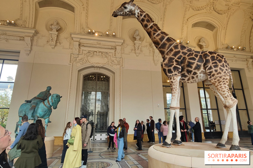 Art Basel 2025 : des installations d'art contemporain originales et gratuites à voir au Petit Palais