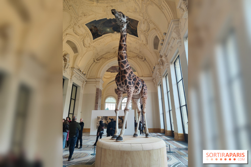 Art Basel 2025 : des installations d'art contemporain originales et gratuites à voir au Petit Palais