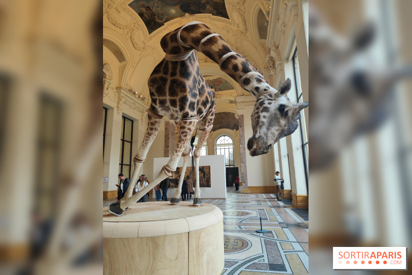 Art Basel 2025 : des installations d'art contemporain originales et gratuites à voir au Petit Palais