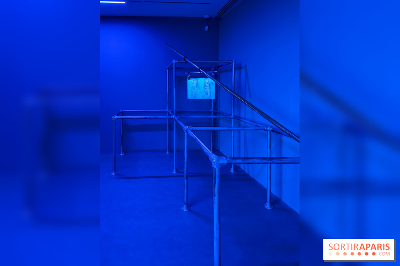 Ciel clair / eaux troubles : l’exposition de Steffani Jemison à Lafayette Anticipations à Paris - IMG 0048