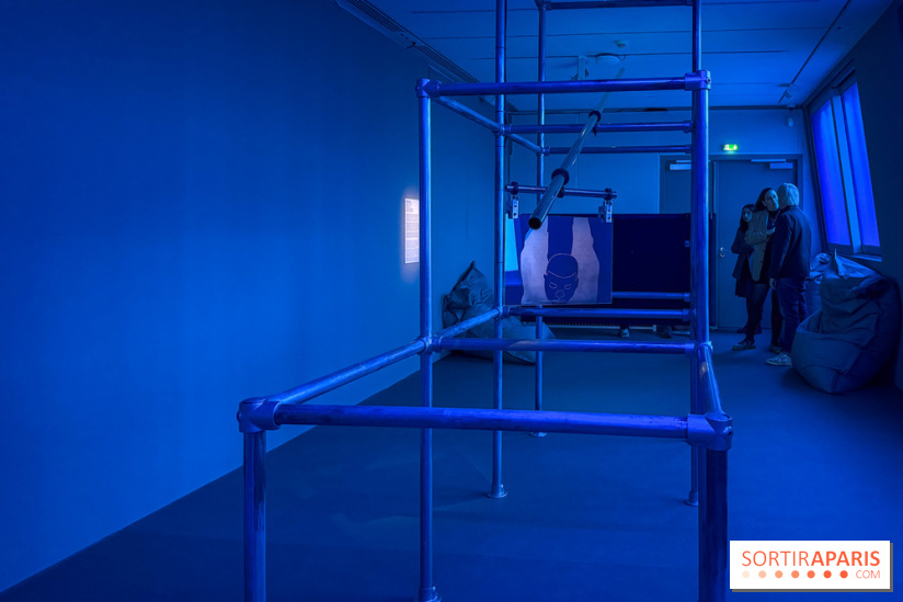 Ciel clair / eaux troubles : l’exposition de Steffani Jemison à Lafayette Anticipations à Paris - IMG 0058