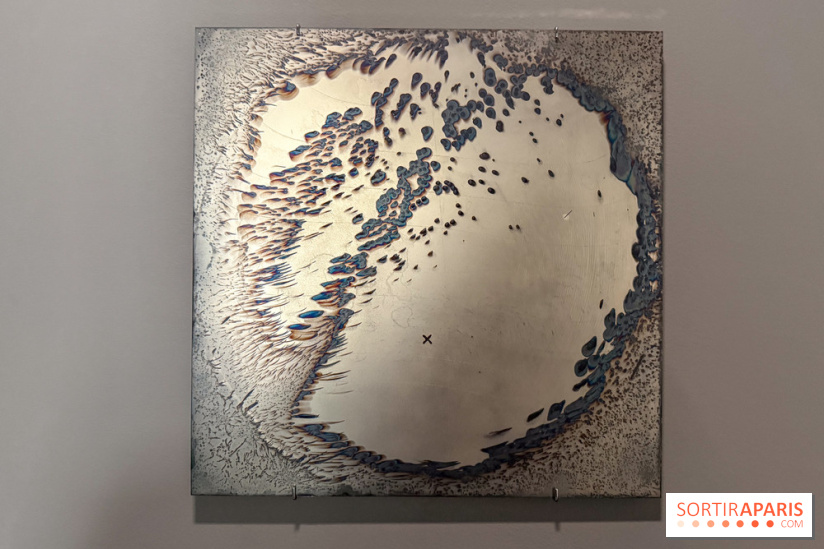 Ciel clair / eaux troubles : l’exposition de Steffani Jemison à Lafayette Anticipations à Paris - IMG 0066