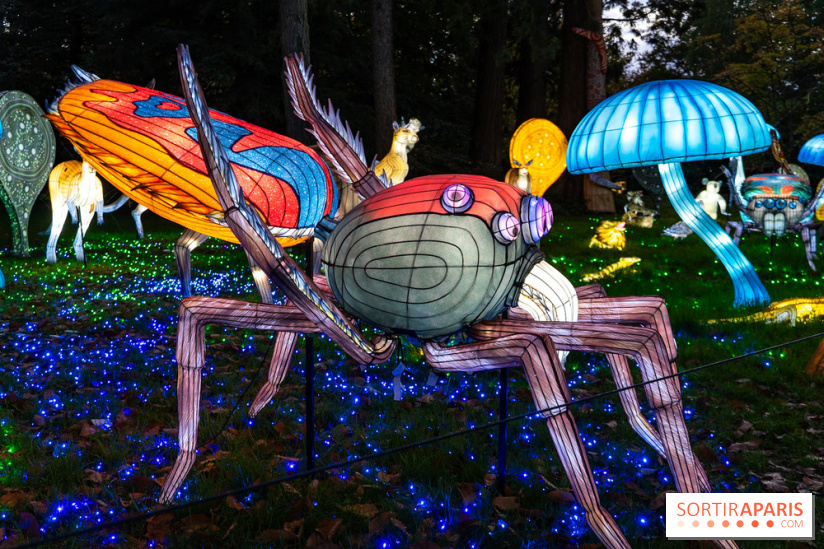 Thoiry Lumières Sauvages 2025 : le Bal des Esprits - A7C09480