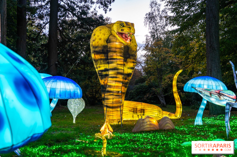 Thoiry Lumières Sauvages 2025 : le Bal des Esprits