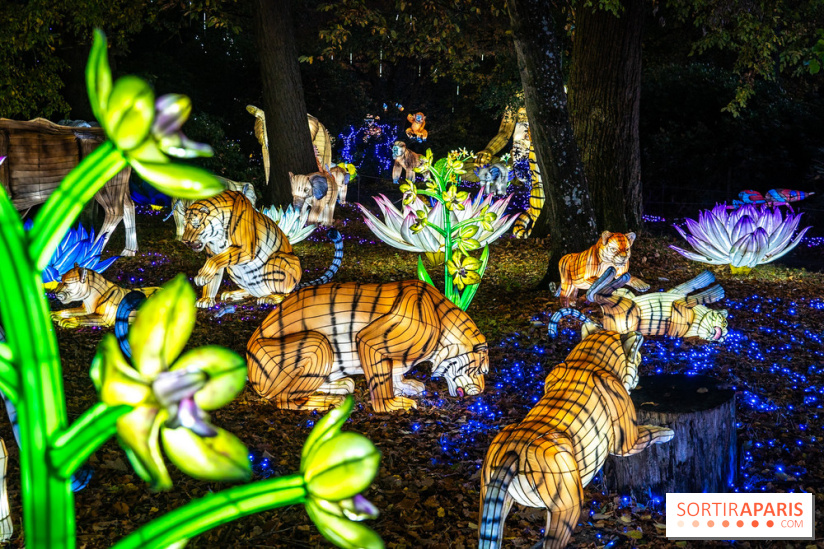 Thoiry Lumières Sauvages 2025 : le Bal des Esprits - A7C09485