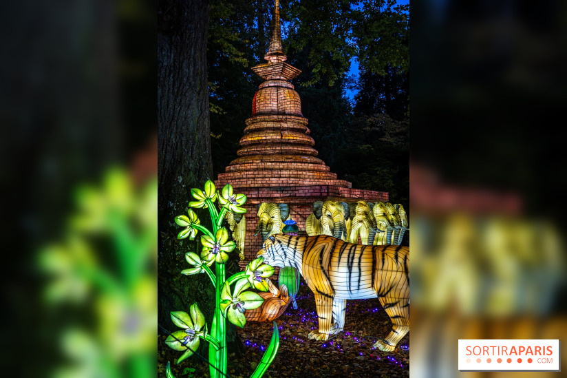 Thoiry Lumières Sauvages 2025 : le Bal des Esprits - A7C09486