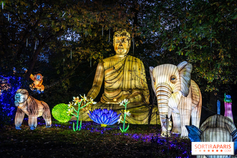 Thoiry Lumières Sauvages 2025 : le Bal des Esprits - A7C09487