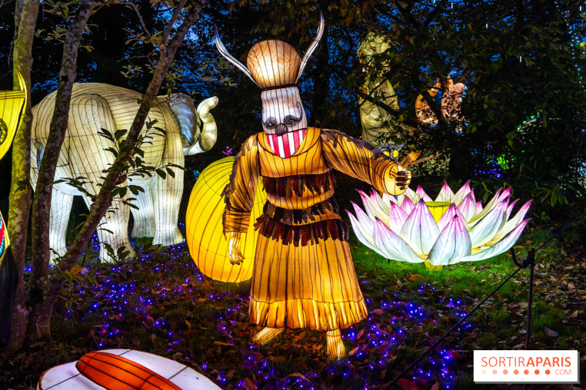 Thoiry Lumières Sauvages 2025 : le Bal des Esprits - A7C09489