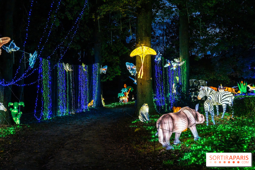 Thoiry Lumières Sauvages 2025 : le Bal des Esprits - A7C09500