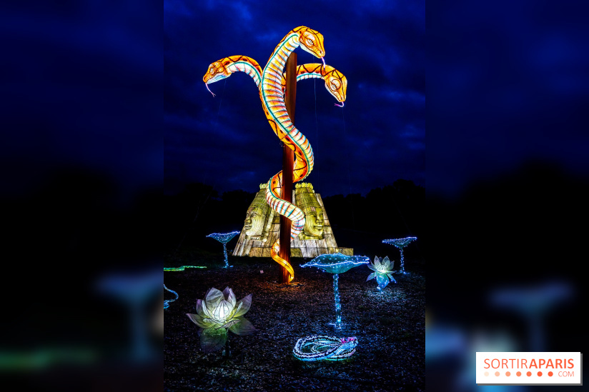 Thoiry Lumières Sauvages 2025 : le Bal des Esprits - A7C09503