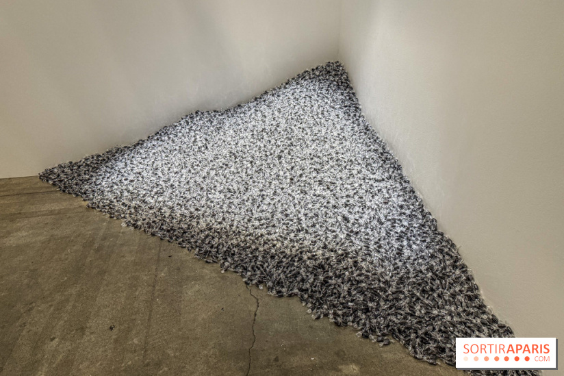 Palais de Tokyo : ECHO DELAY REVERB, l'expo mettant à l’honneur la création américaine contemporaine - IMG 0198