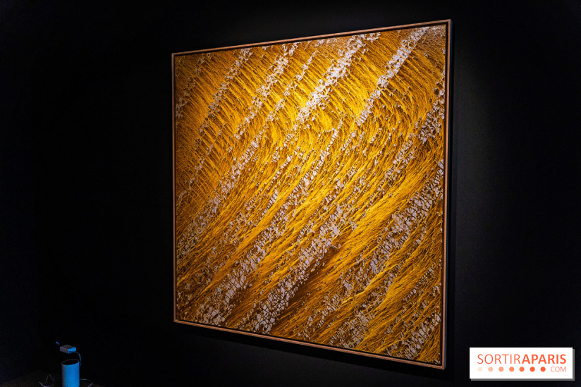 Exposition 'Couleurs de Corée, Lumière sur l’art contemporain coréen' au Centre Culturel Coréen - les photos - A7C09785