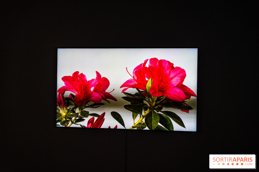 Exposition 'Couleurs de Corée, Lumière sur l’art contemporain coréen' au Centre Culturel Coréen - les photos - A7C09797