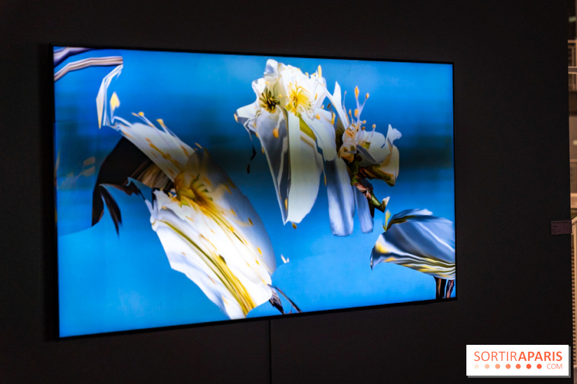 Exposition 'Couleurs de Corée, Lumière sur l’art contemporain coréen' au Centre Culturel Coréen - les photos - A7C09798