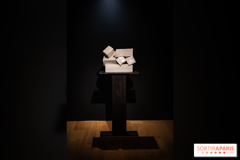 Exposition 'Couleurs de Corée, Lumière sur l’art contemporain coréen' au Centre Culturel Coréen - les photos - A7C09800