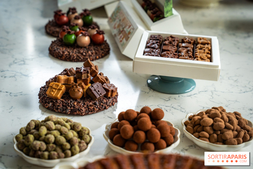 Les Bûches de Noël de Pleincœur par Maxime Frédéric 2025 et ses créations de fêtes - A7C07663