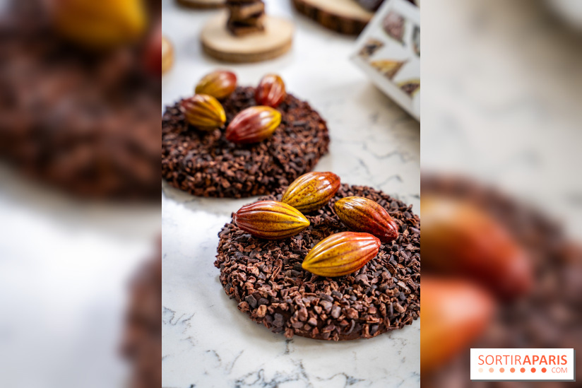 Les Bûches de Noël de Pleincœur par Maxime Frédéric 2025 et ses créations de fêtes - A7C07683