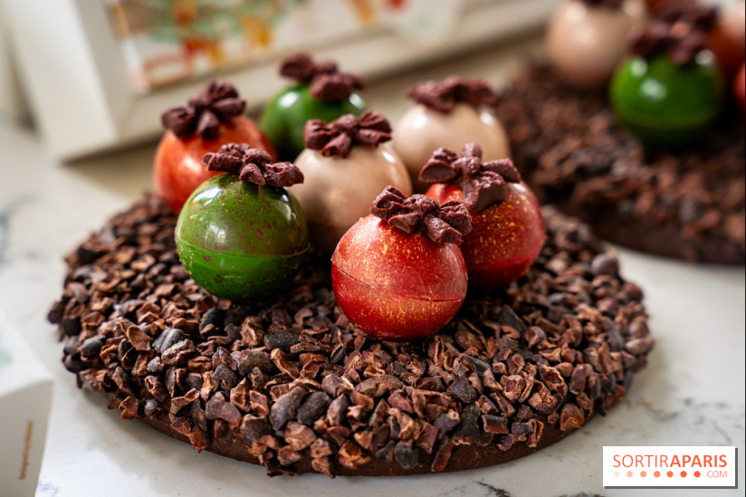 Les Bûches de Noël de Pleincœur par Maxime Frédéric 2025 et ses créations de fêtes - A7C07684