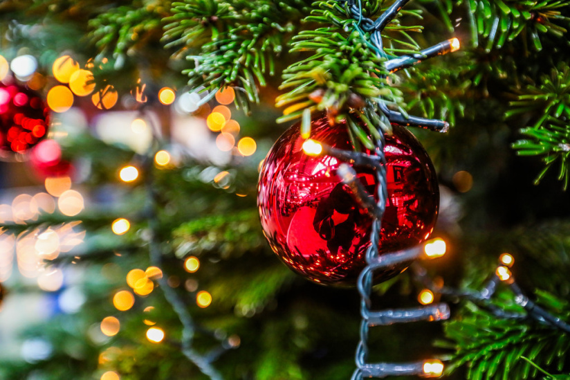 Les dimanches à l’Hippodrome Paris-Vincennes - BV 20241215131126BV1 6074