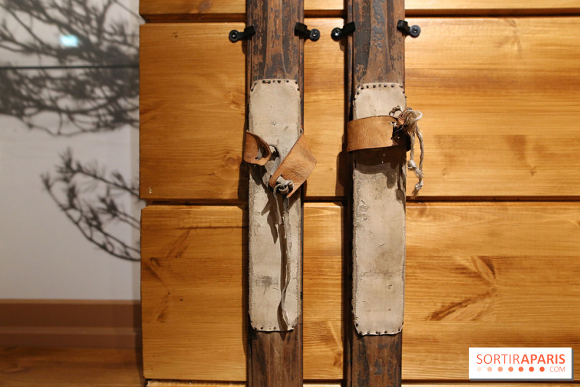 Pekka Halonen : un hymne à la Finlande, nos photos de l'exposition au Petit Palais 