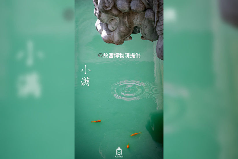 « Un siècle de conservation – de la Cité interdite au Musée du Palais » au Centre Culturel de Chine - 8小满