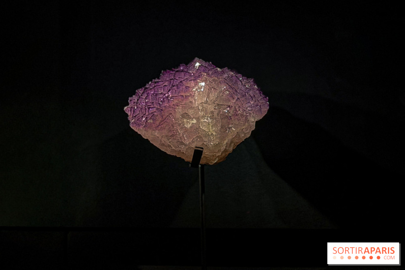 Rêveries de pierres : l'exposition rétrospective gratuite à l'Ecole des Arts Joailliers - IMG 0016