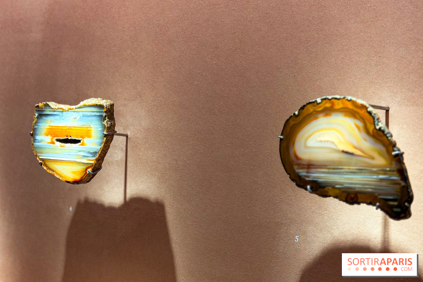 Rêveries de pierres : l'exposition rétrospective gratuite à l'Ecole des Arts Joailliers