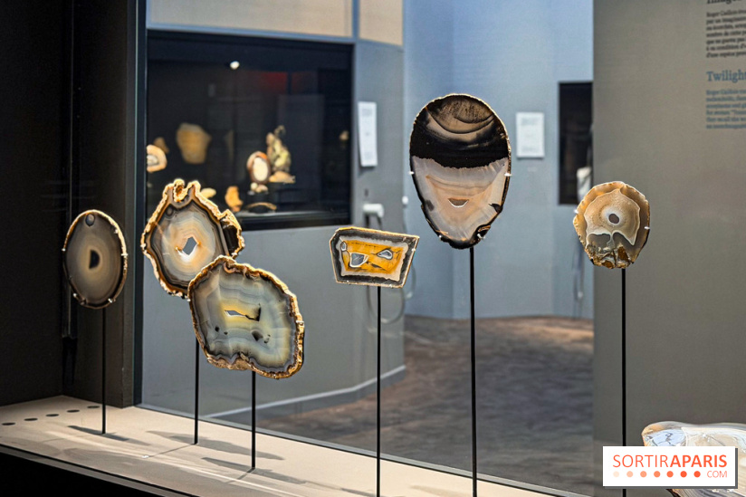 Rêveries de pierres : l'exposition rétrospective gratuite à l'Ecole des Arts Joailliers - IMG 0041