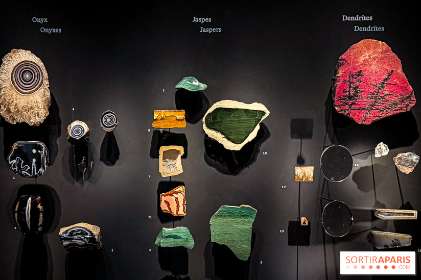 Rêveries de pierres : l'exposition rétrospective gratuite à l'Ecole des Arts Joailliers