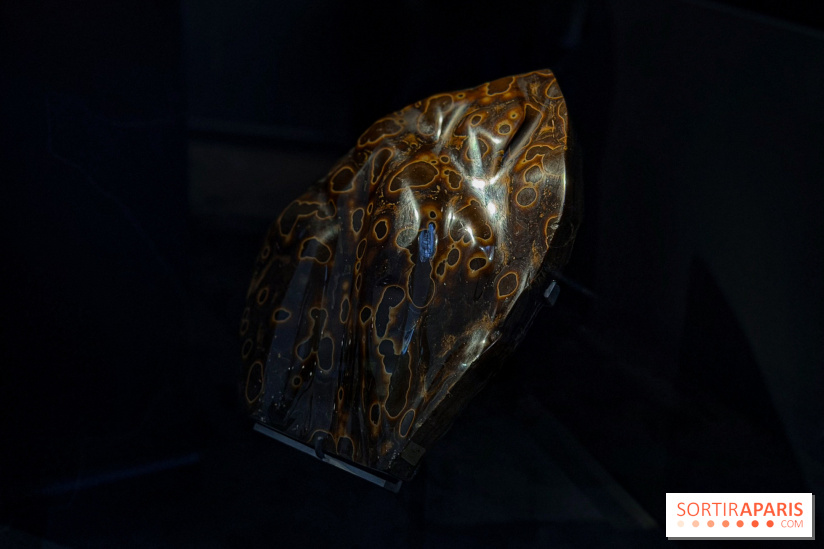 Rêveries de pierres : l'exposition rétrospective gratuite à l'Ecole des Arts Joailliers - IMG 0063