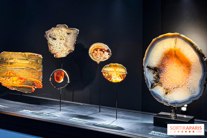 Rêveries de pierres : l'exposition rétrospective gratuite à l'Ecole des Arts Joailliers - IMG 0070