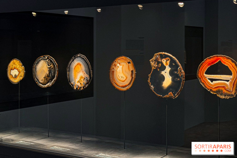 Rêveries de pierres : l'exposition rétrospective gratuite à l'Ecole des Arts Joailliers - IMG 0119