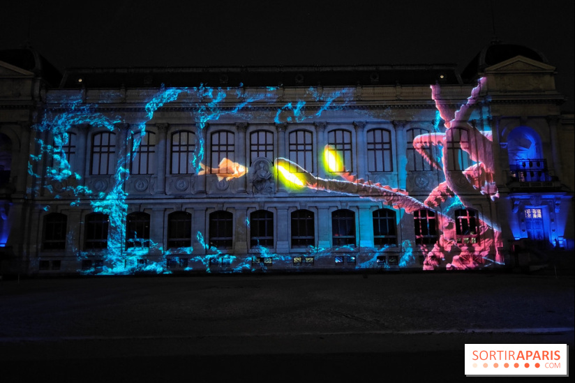 En voie d'illumination : Lumières de la nature : le festival nocturne hivernal du Jardin des Plantes - fotor 1762431466628
