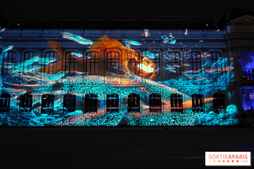 En voie d'illumination : Lumières de la nature : le festival nocturne hivernal du Jardin des Plantes - fotor 1762431479559