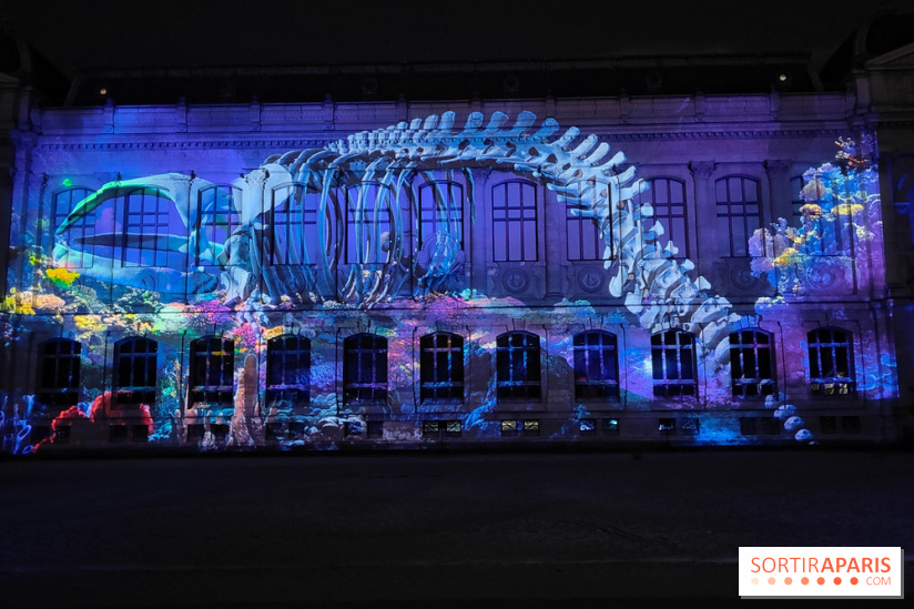 En voie d'illumination : Lumières de la nature : le festival nocturne hivernal du Jardin des Plantes - fotor 1762431492963