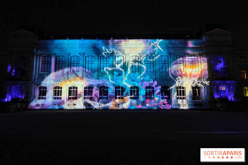 En voie d'illumination : Lumières de la nature : le festival nocturne hivernal du Jardin des Plantes - fotor 1762431514038