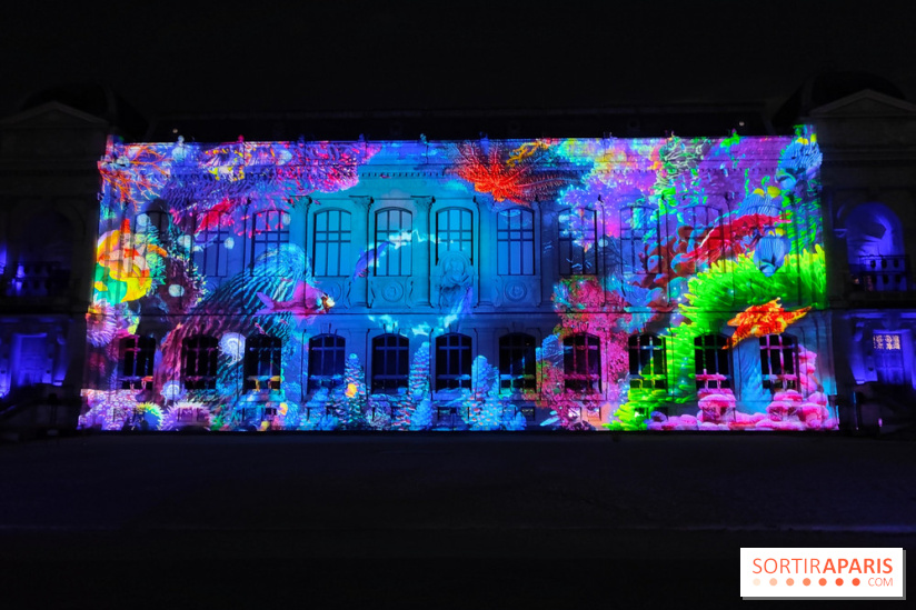 En voie d'illumination : Lumières de la nature : le festival nocturne hivernal du Jardin des Plantes - fotor 1762431537905