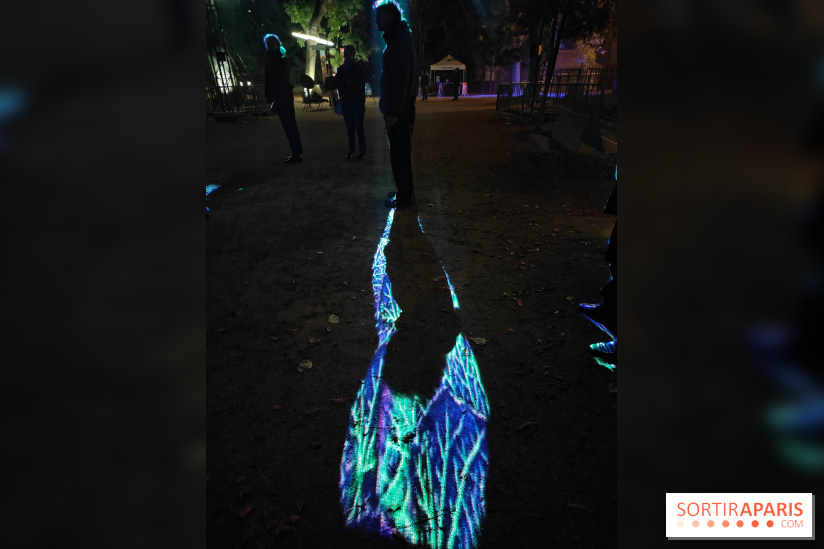 En voie d'illumination : Lumières de la nature : le festival nocturne hivernal du Jardin des Plantes - fotor 1762431261369